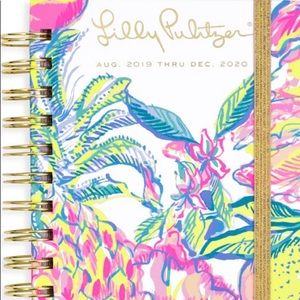 Medium Fiesta Bamba 17 Month Daily Planner